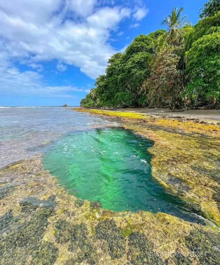 Casa Mar Villa Puerto Viejo de Talamanca Eksteriør billede