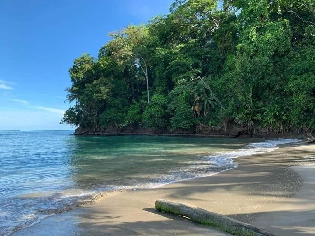 Casa Mar Villa Puerto Viejo de Talamanca Eksteriør billede